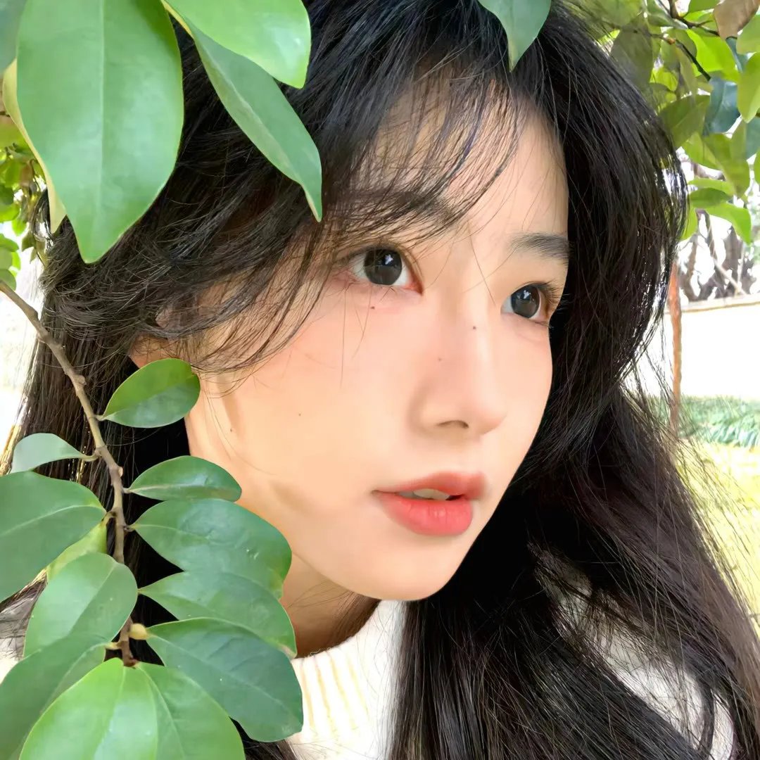凯多湖的消失